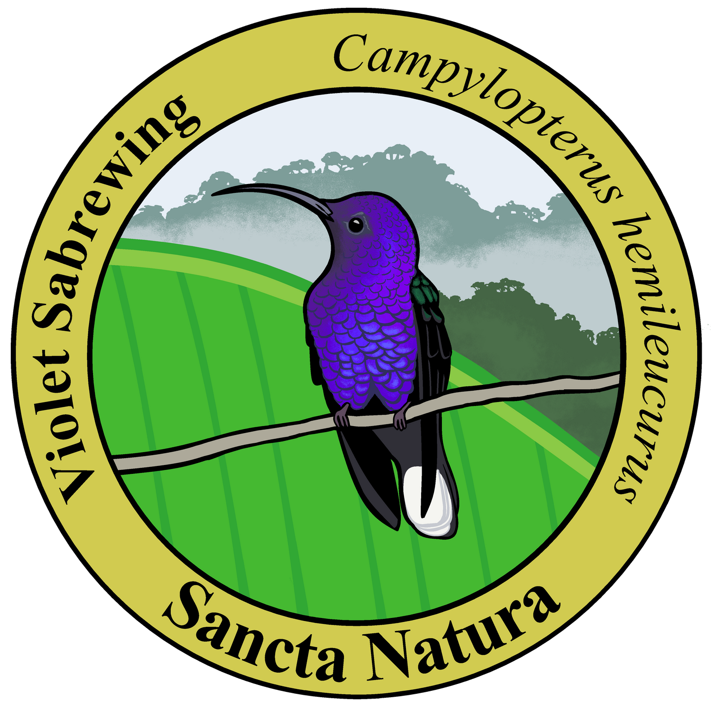 Adult Violet Sabrewing T-shirt