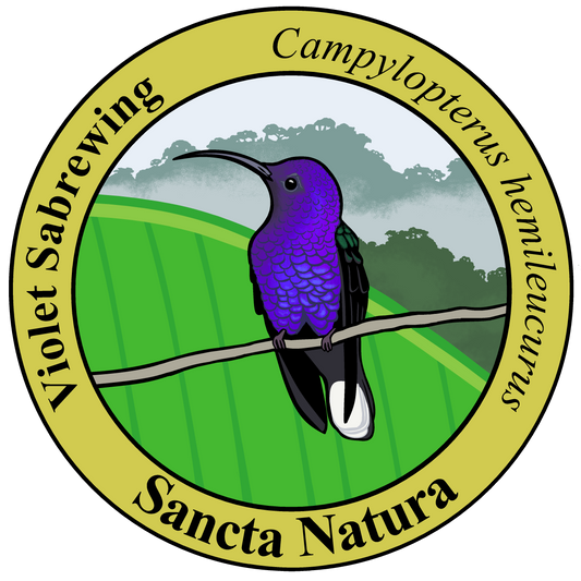 Adult Violet Sabrewing T-shirt