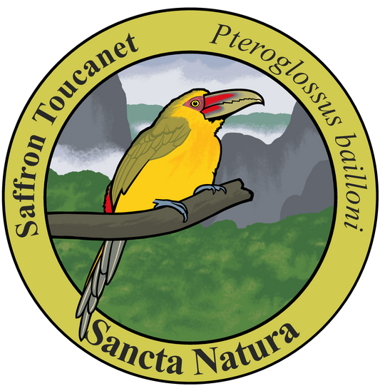 Adult Saffron Toucanet T-shirt