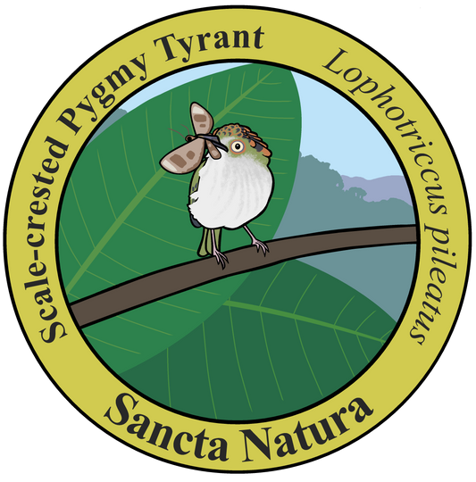 Kids Scale-crested Pygmy Tyrant T-shirt