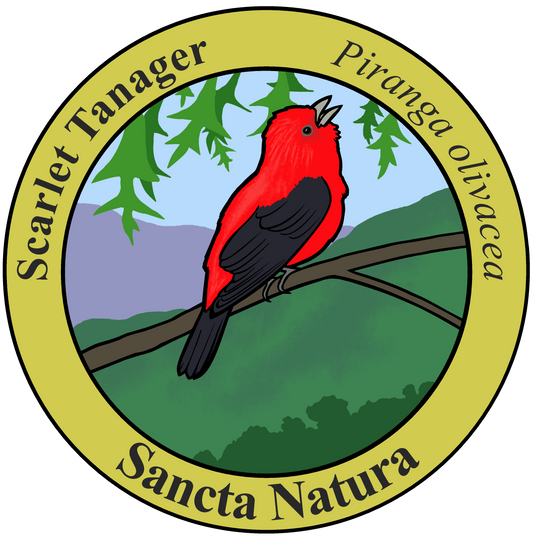 Kids Scarlet Tanager T-shirt