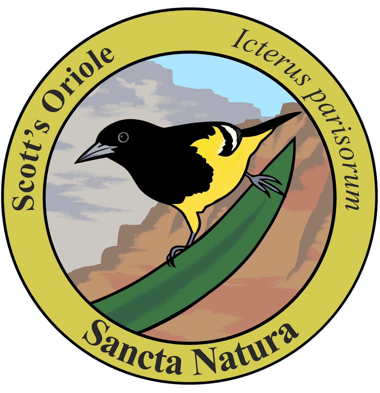 Adult Scott's Oriole T-shirt