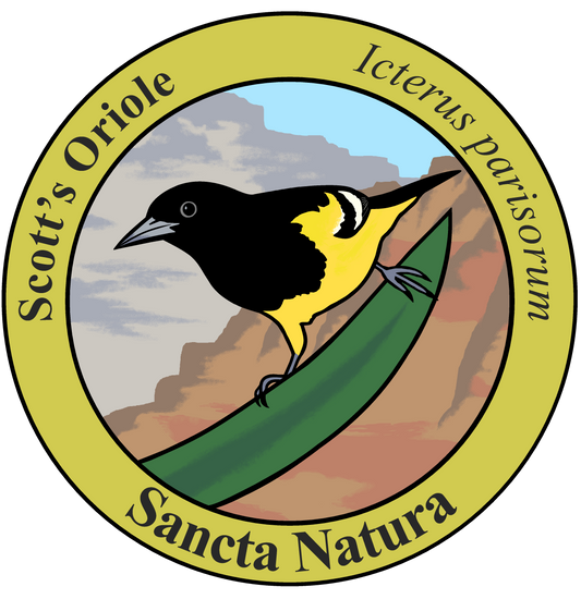 Adult Scott's Oriole T-shirt