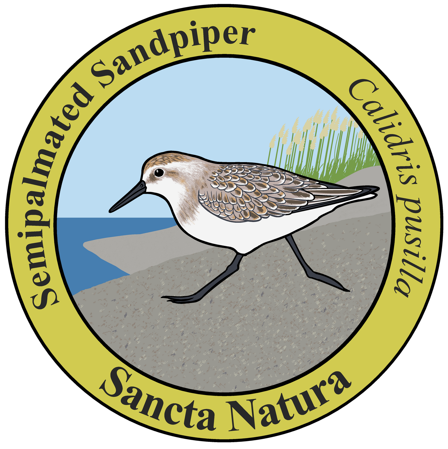 Kids Semipalmated Sandpiper T-shirt