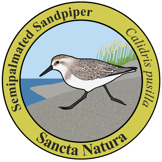 Kids Semipalmated Sandpiper T-shirt