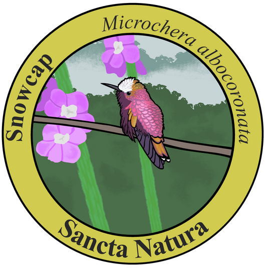 Kids Snowcap T-shirt