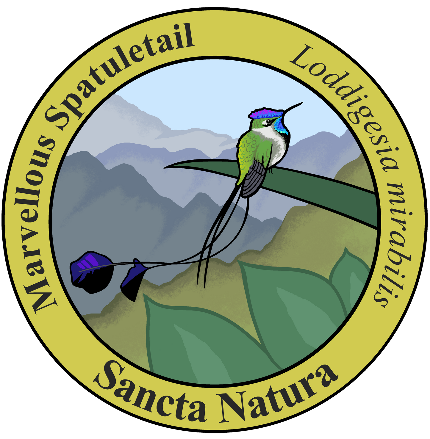 Adult Marvelous Spatuletail T-shirt