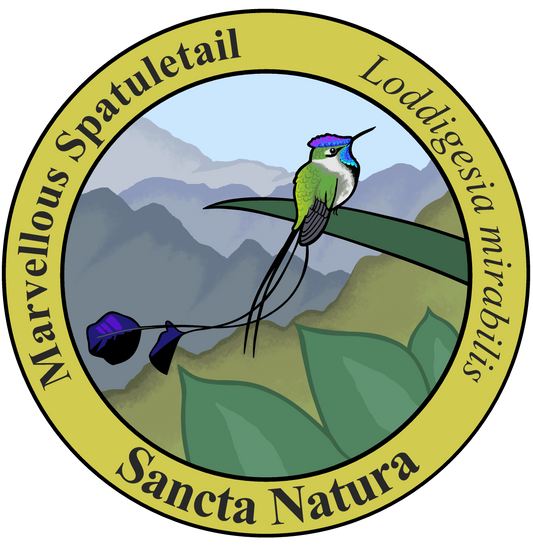 Adult Marvelous Spatuletail T-shirt