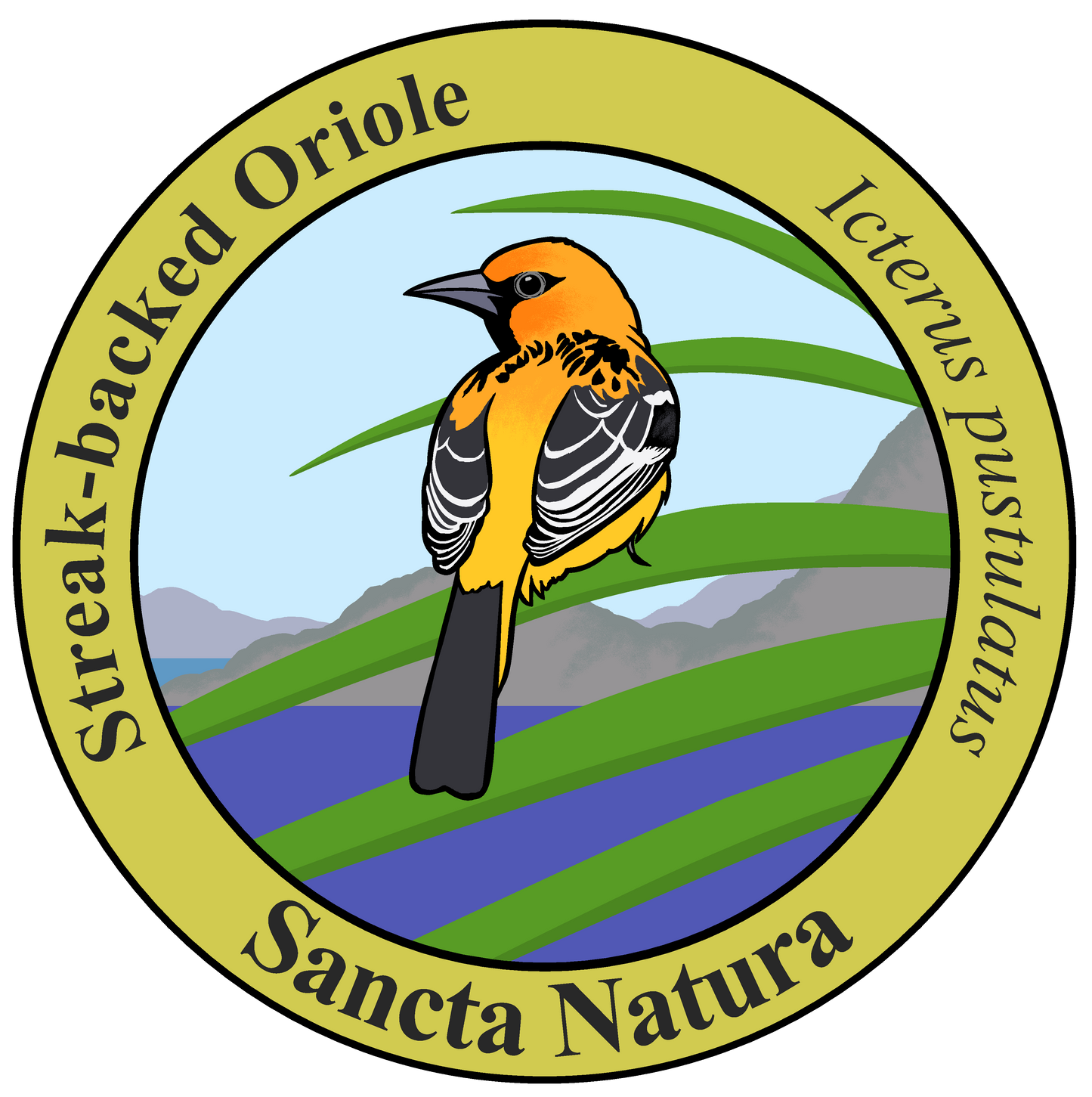 Kids Streak-backed Oriole T-shirt