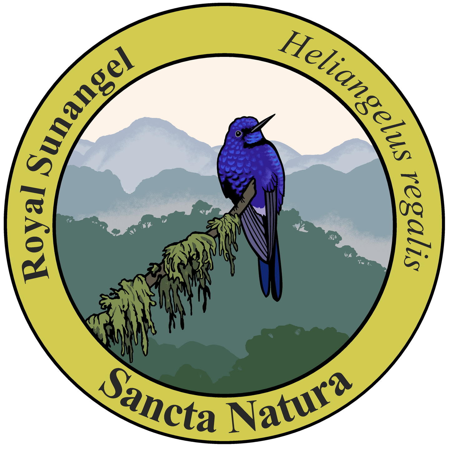 Kids Royal Sunangel T-shirt