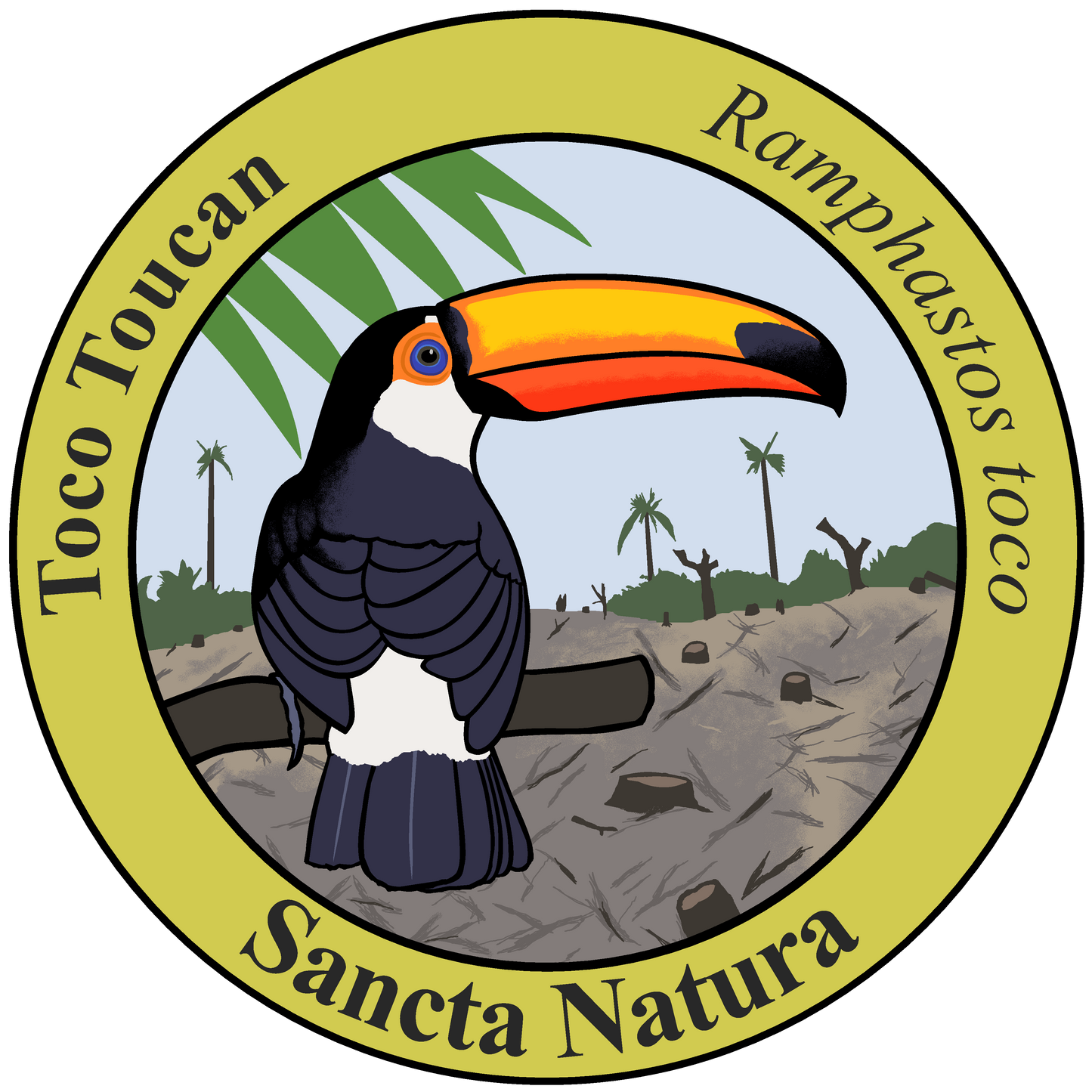 Adult Toco Toucan T-shirt