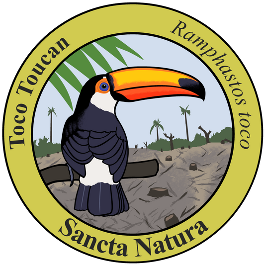 Adult Toco Toucan T-shirt