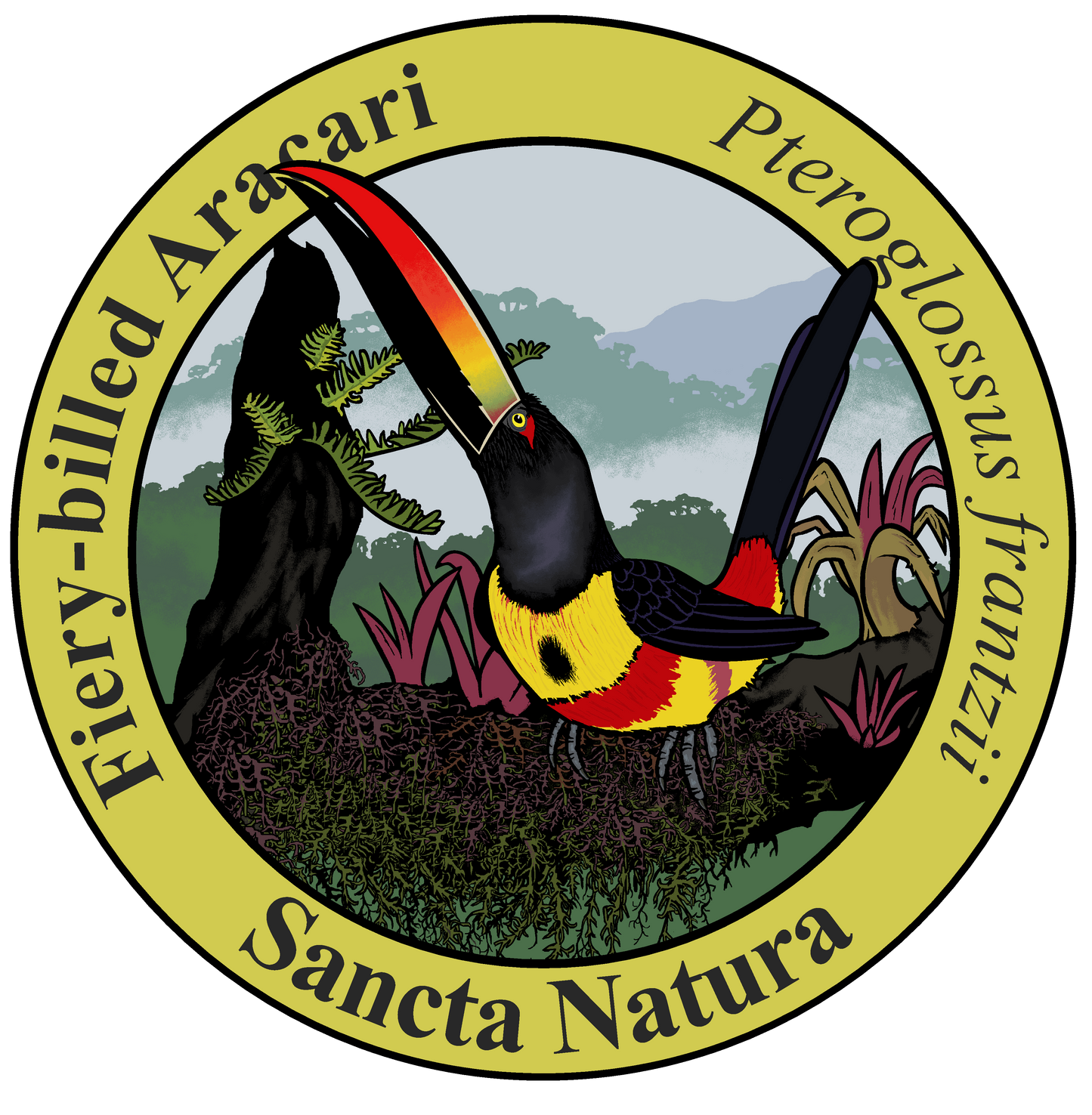 Adult Fiery-billed Aracari T-shirt