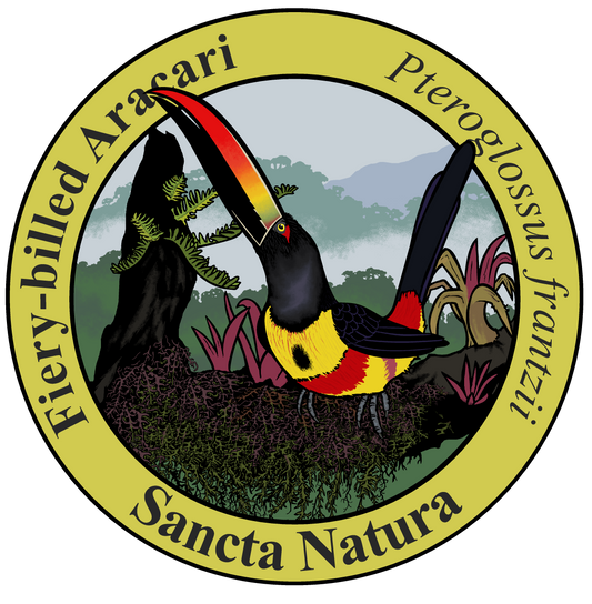 Kids Fiery-billed Aracari T-shirt