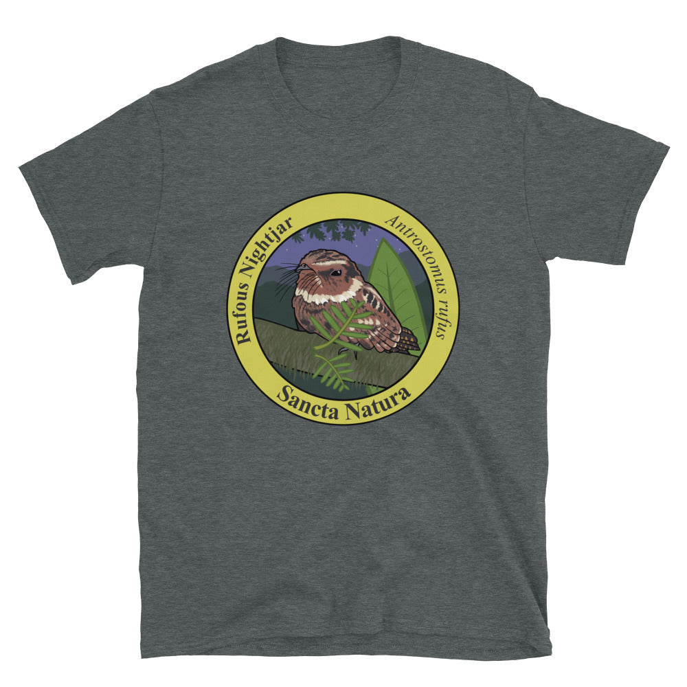 Adult Rufous Nightjar