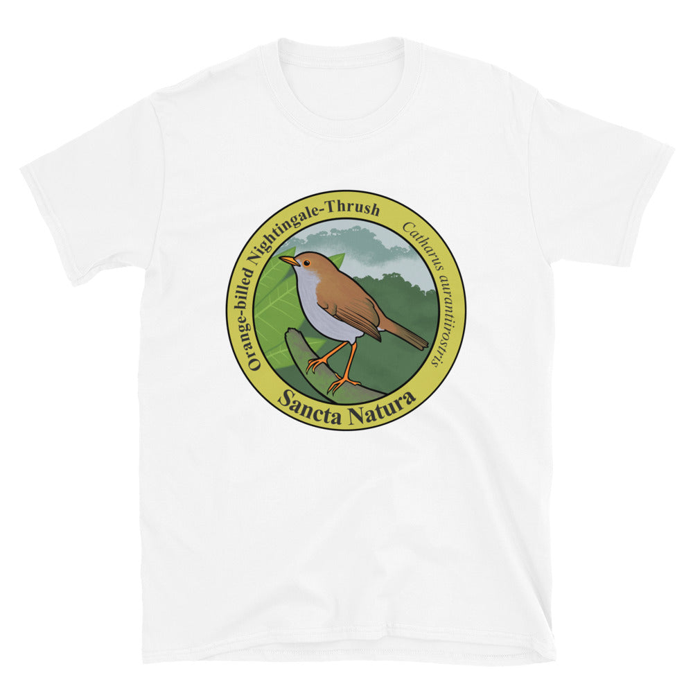 Adult Orange-billed Nightingale-Thrush