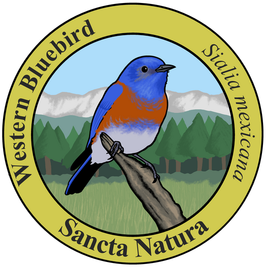 Adult Western Bluebird T-shirt