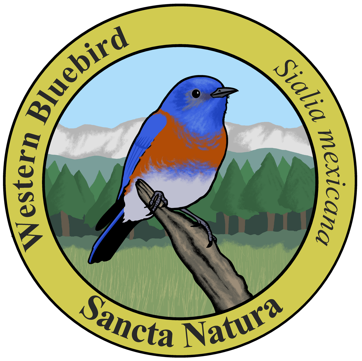 Kids Western Bluebird T-shirt