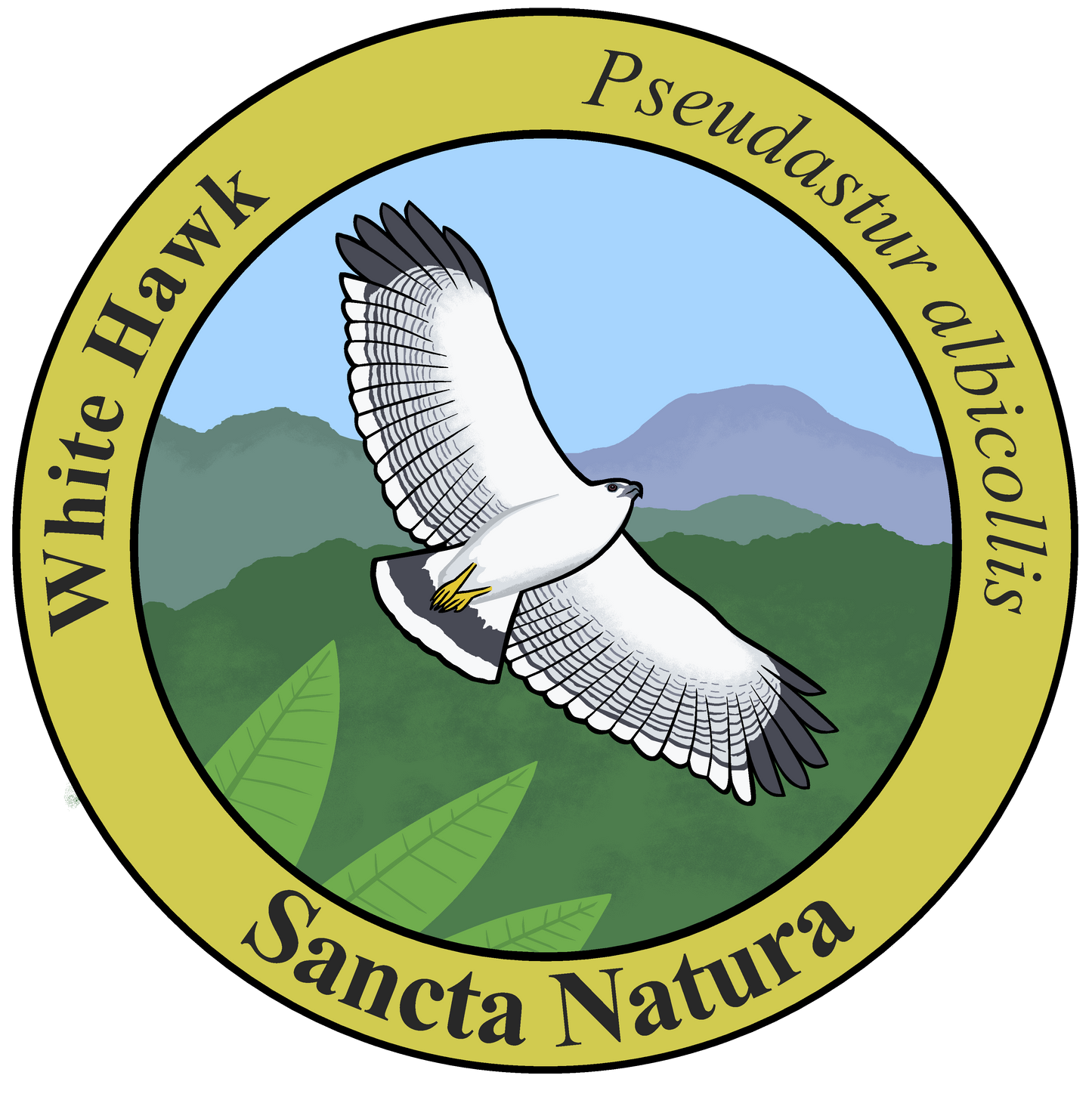 Adult White Hawk T-shirt