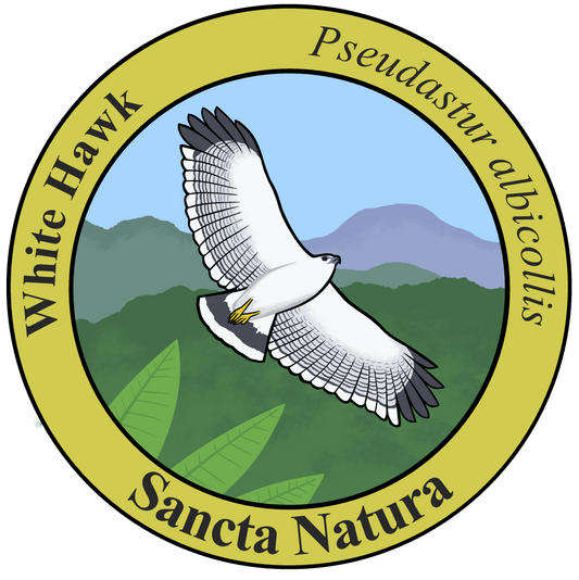 Adult White Hawk T-shirt