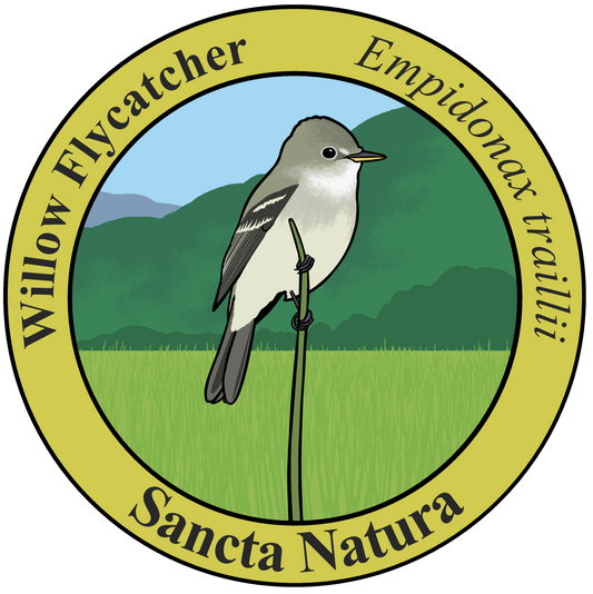 Kids Willow Flycatcher T-shirt