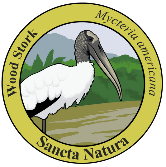 Adult Wood Stork T-shirt