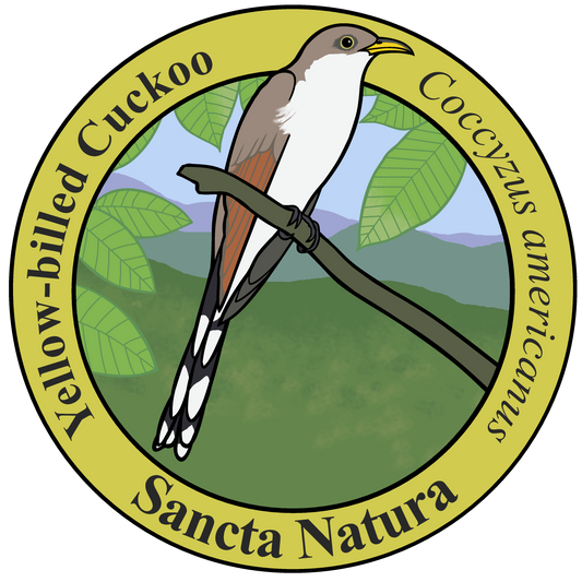 Adult Yellow-billed Cuckoo T-shirt