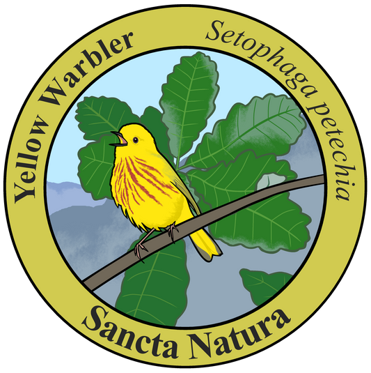 Kids Yellow Warbler T-shirt