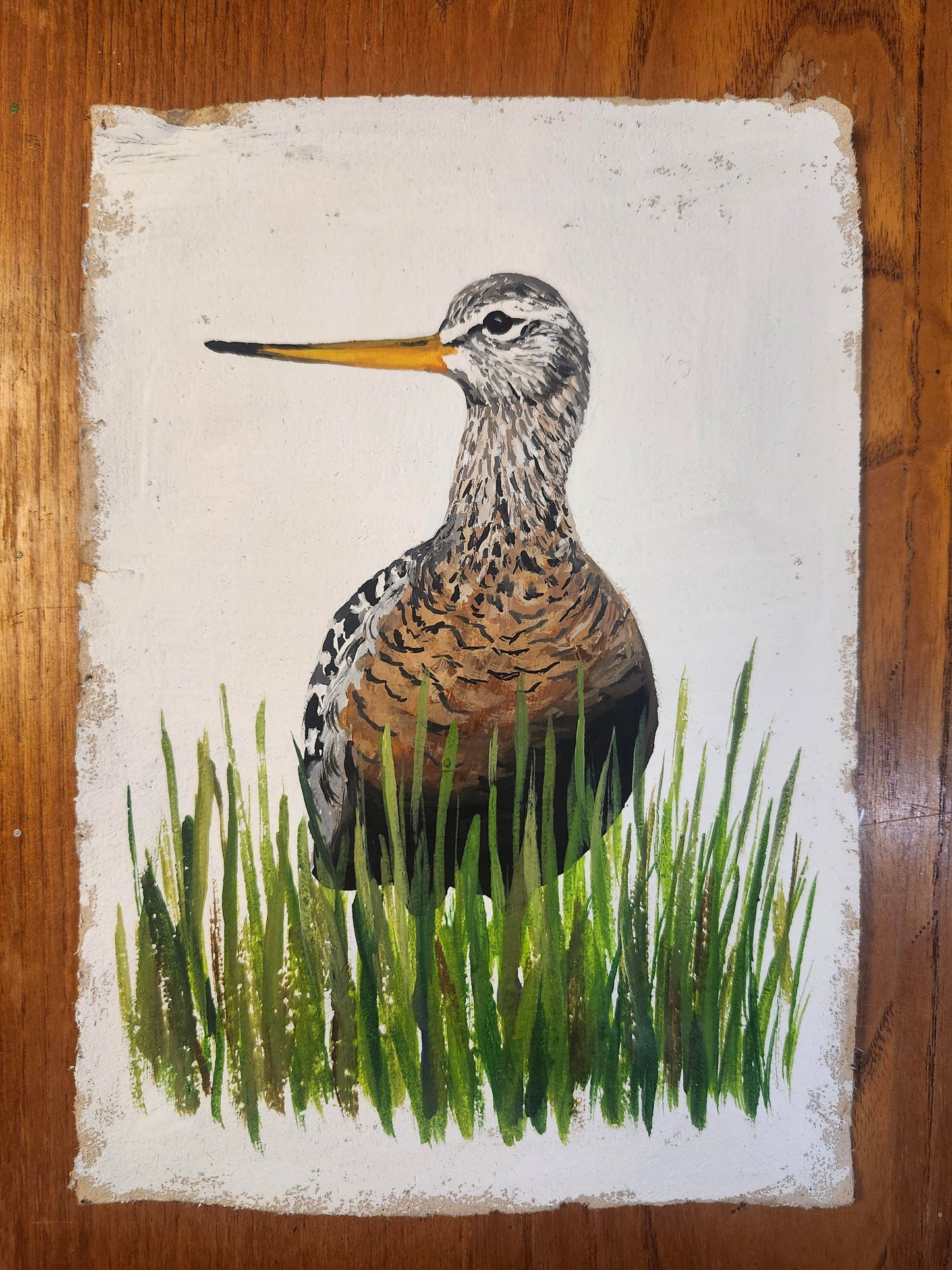 Invasive Paper Custom Portrait 5.75" x 8.25"