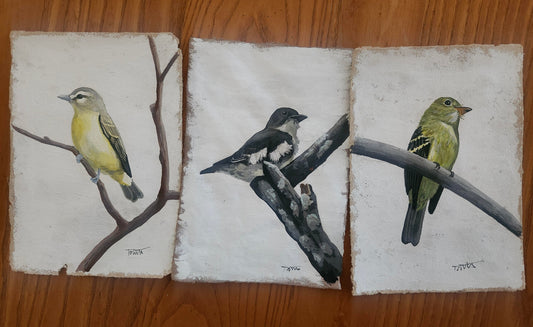 Invasive Paper Custom Portrait 5.75" x 8.25"