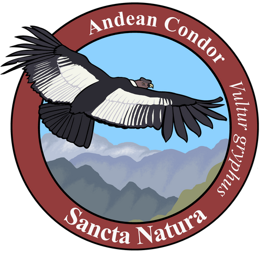 Adult Andean Condor T-shirt