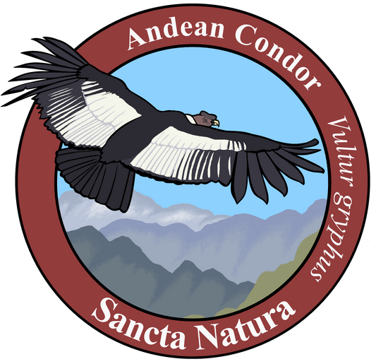 Kids Andean Condor T-shirt