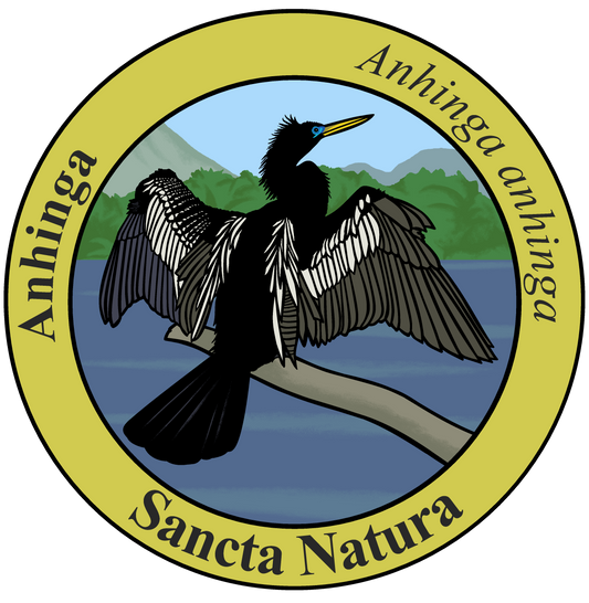 Adult Anhinga T-shirt