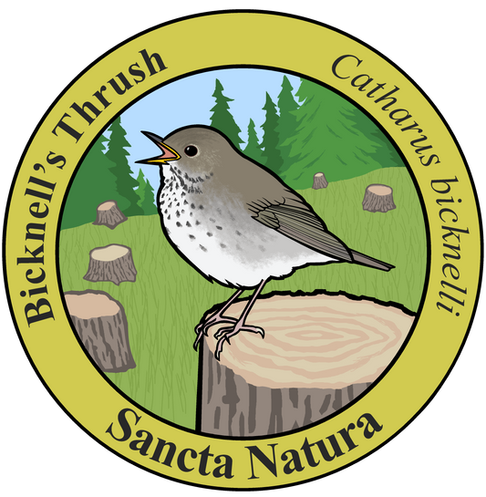 Adult Bicknell's Thrush T-shirt