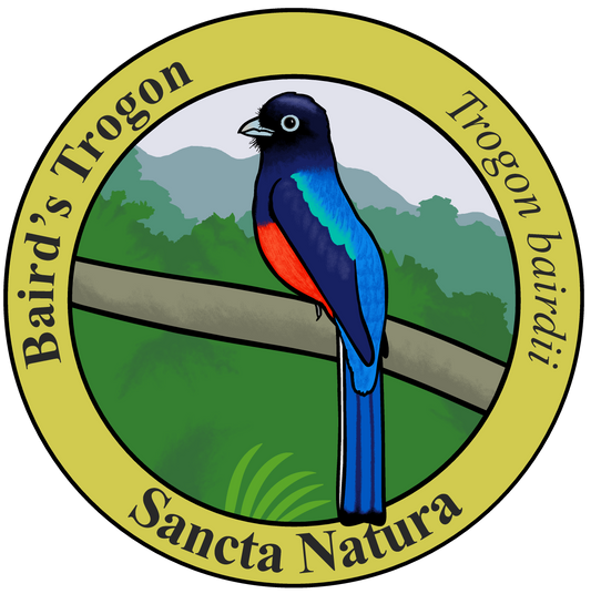 Adult Baird's Trogon T-shirt