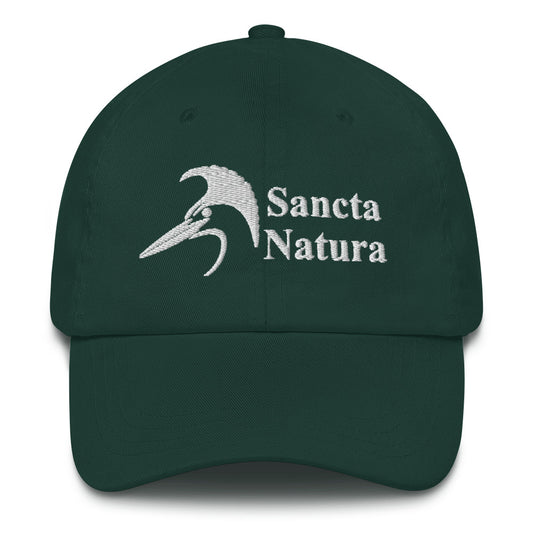 Classic Logo Hat