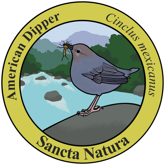 Adult American Dipper T-shirt