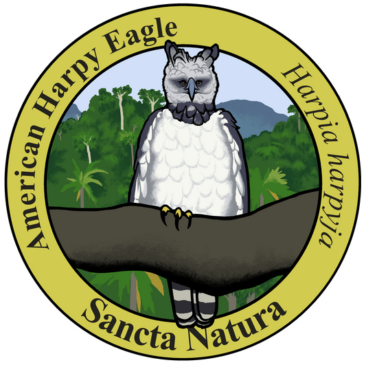 Kids American Harpy Eagle T-shirt