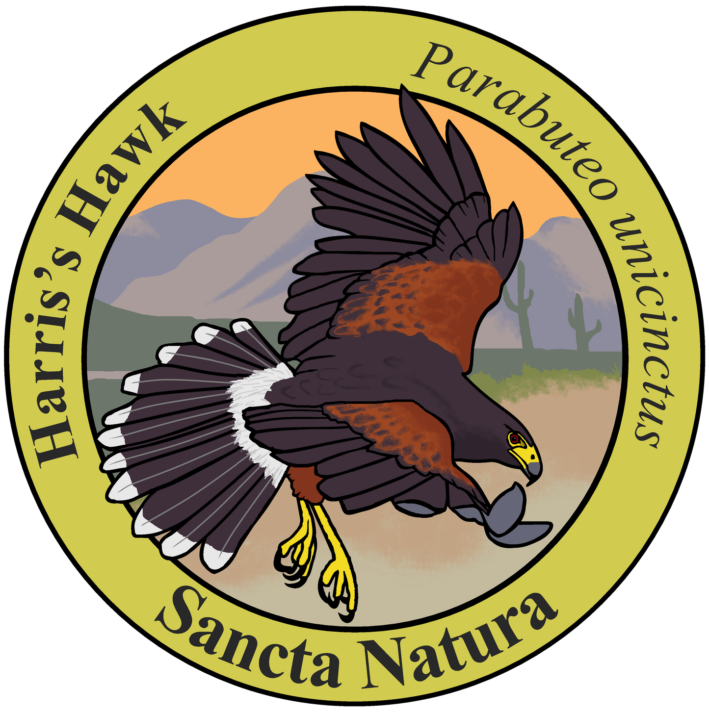 Adult Harris's Hawk T-shirt