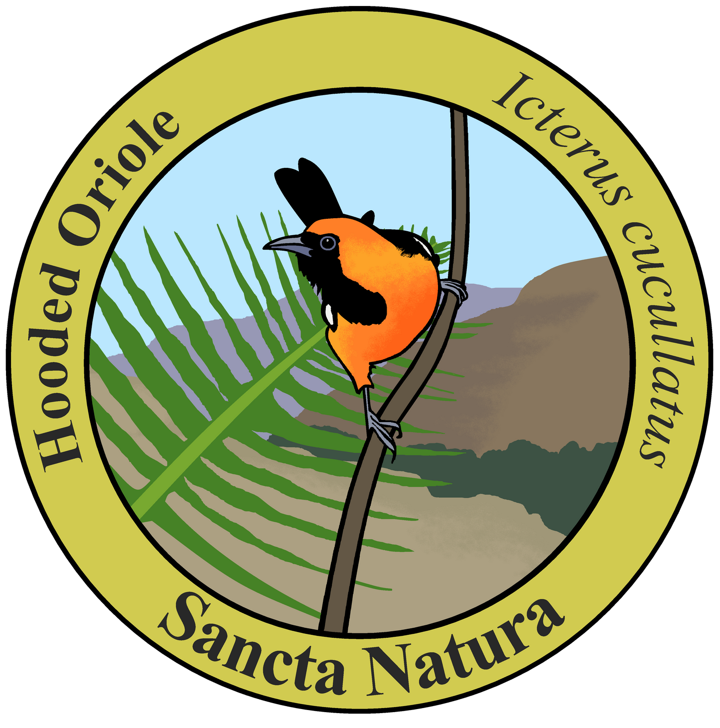 Adult Hooded Oriole T-shirt