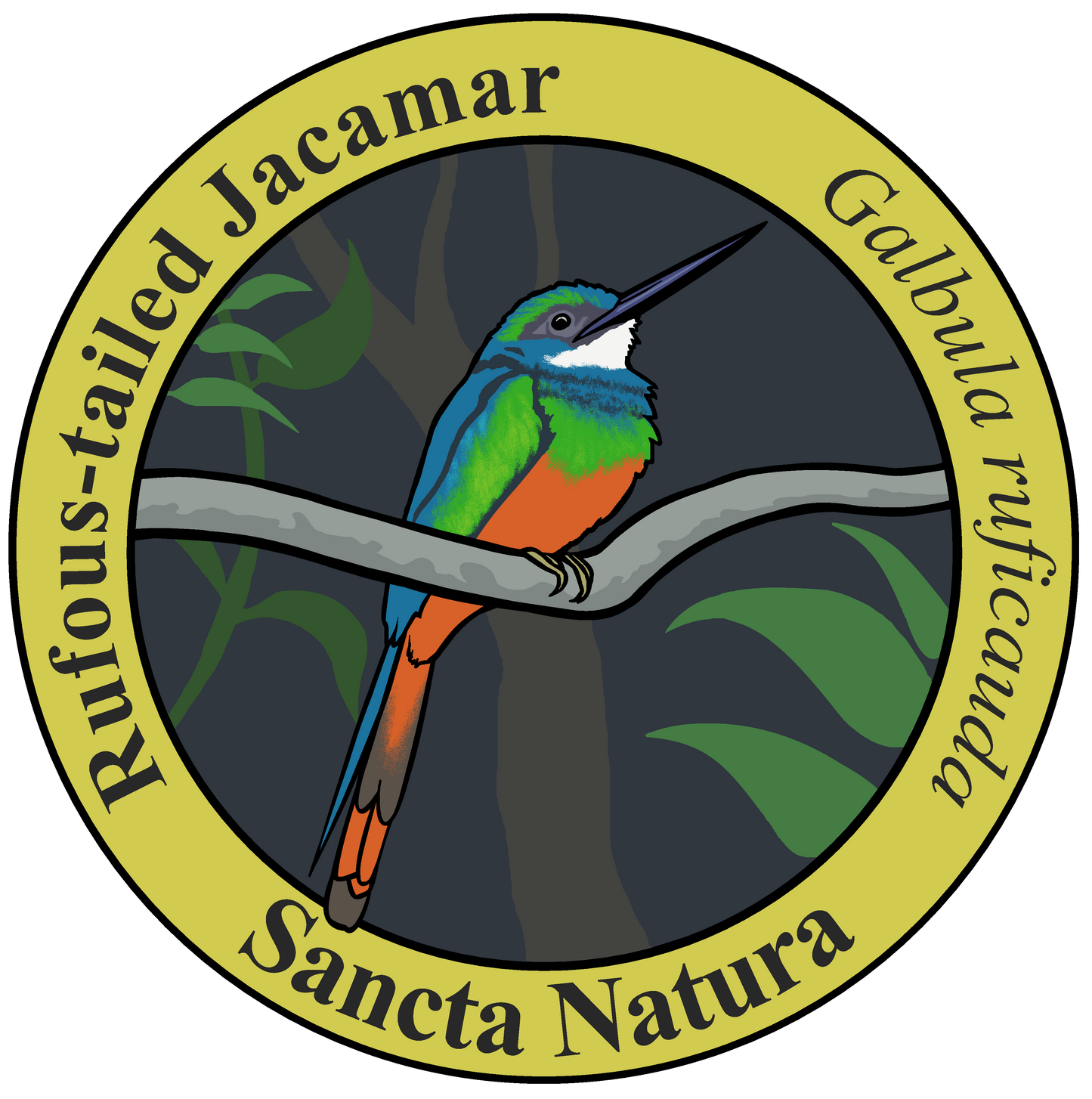 Adult Rufous-tailed Jacamar T-shirt