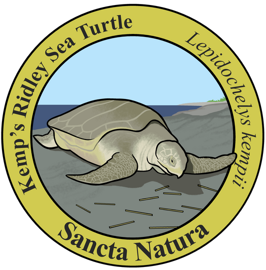 Adult Kemp's Ridley Sea Turtle T-shirt