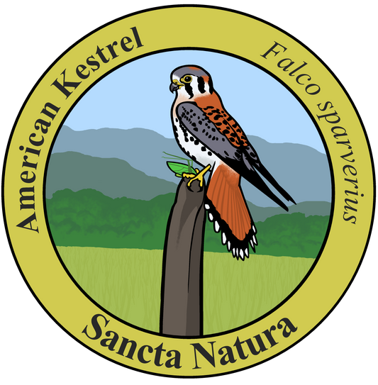 Adult American Kestrel T-shirt