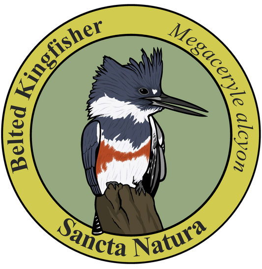 Adult Belted Kingfisher T-shirt