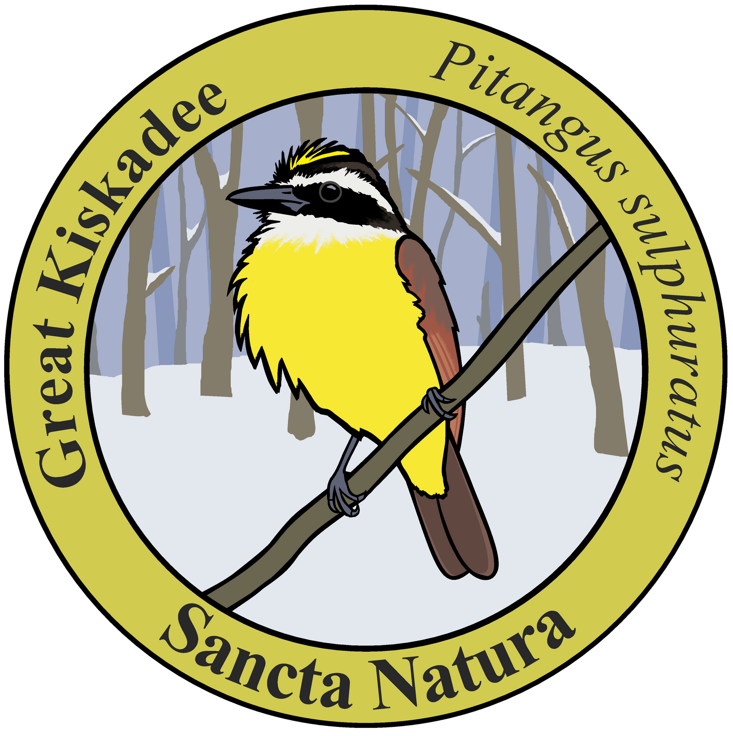 Adult Great Kiskadee T-shirt