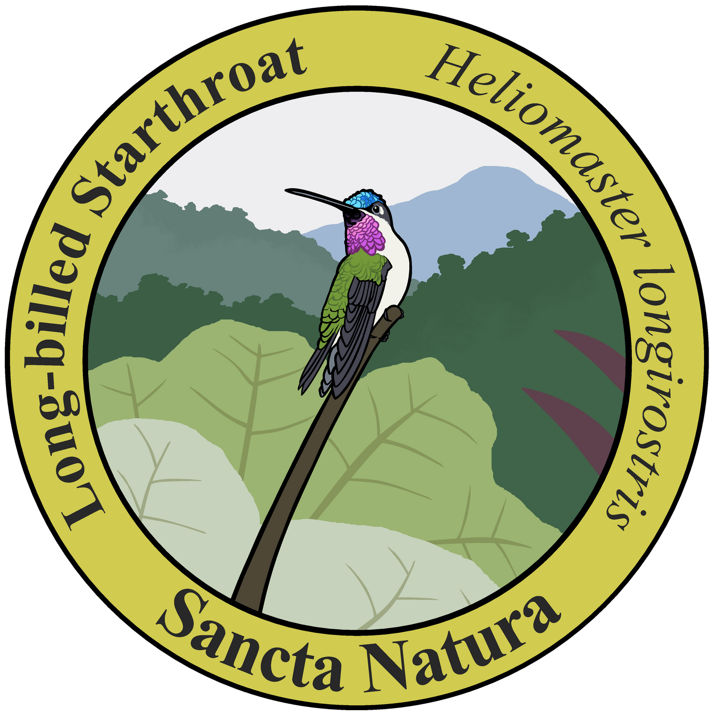 Adult Long-billed Starthroat T-shirt