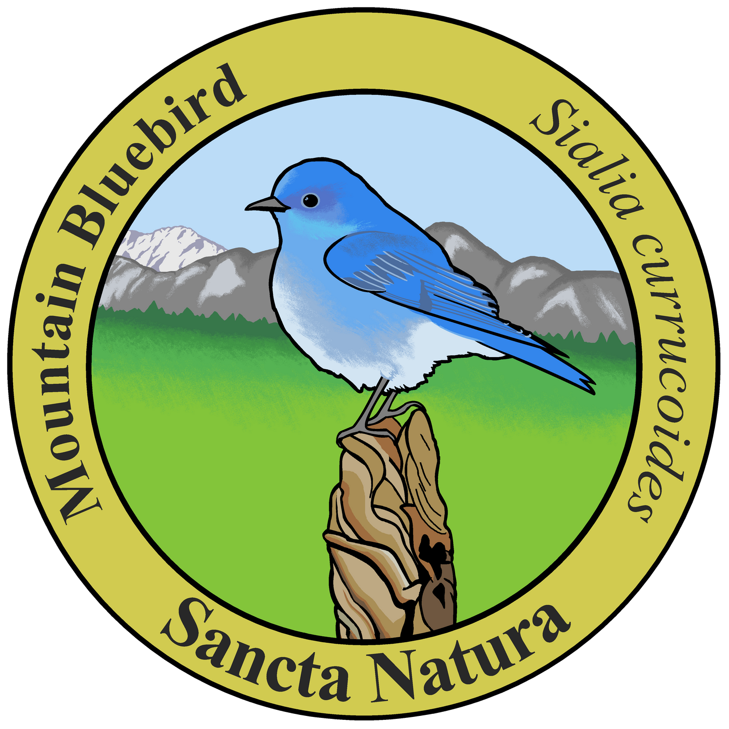 Adult Mountain Bluebird T-shirt