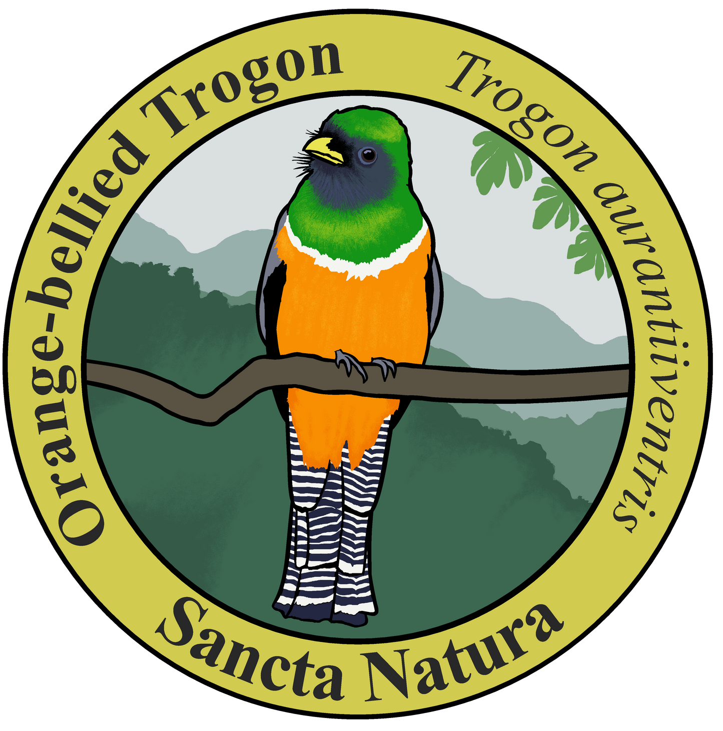 Adult Orange-bellied (Collared) Trogon T-shirt