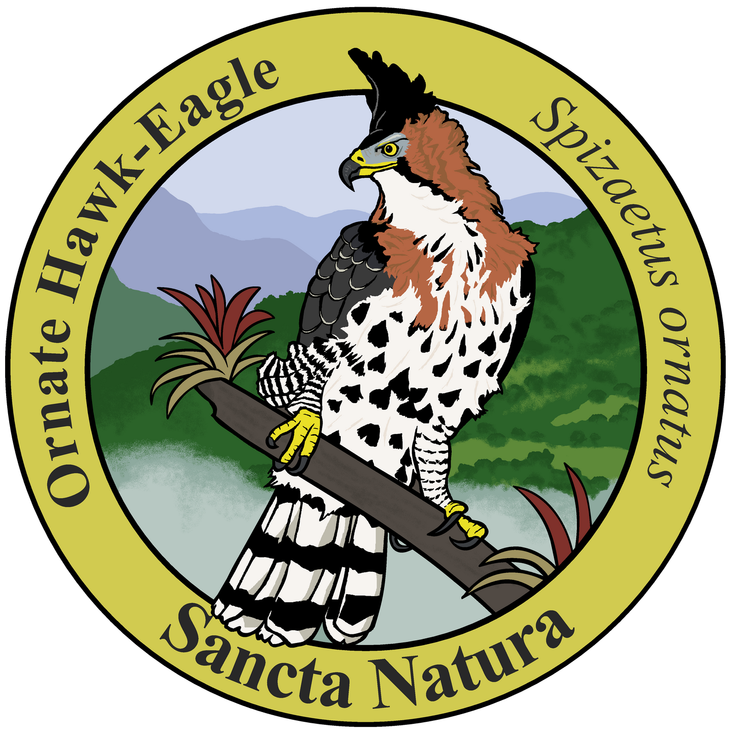 Adult Ornate Hawk-Eagle T-shirt