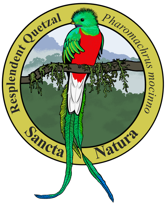 Adult Resplendent Quetzal T-shirt